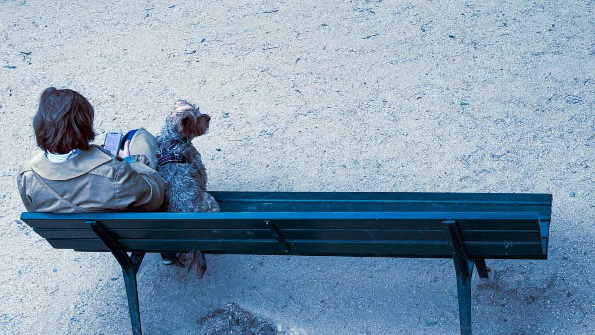 Femme et son chien sur un banc, vigilance face aux arnaques numériques